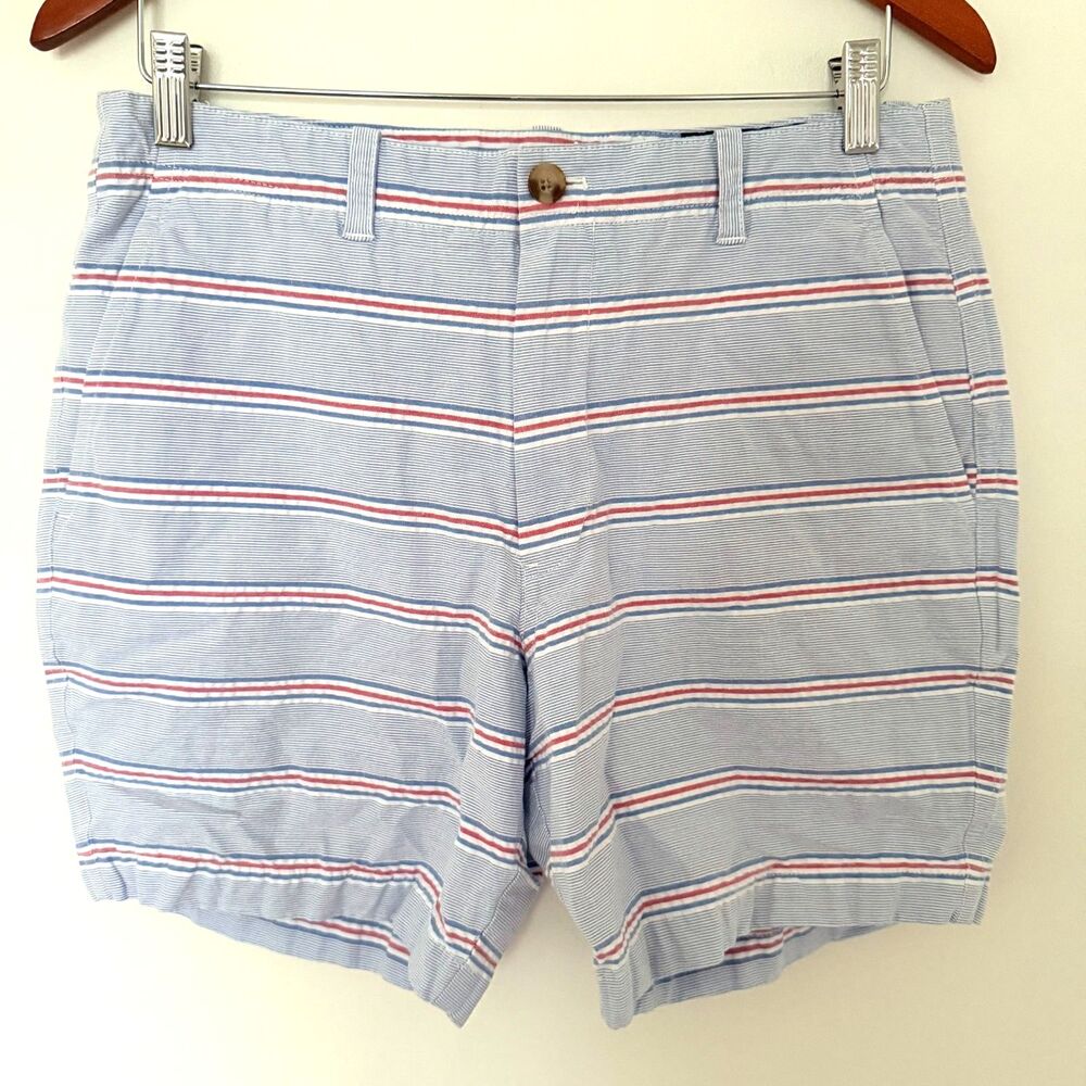 Vineyard Vines Blue Striped Cotton Blend Lightweight Preppy Summer Shorts Sz 30